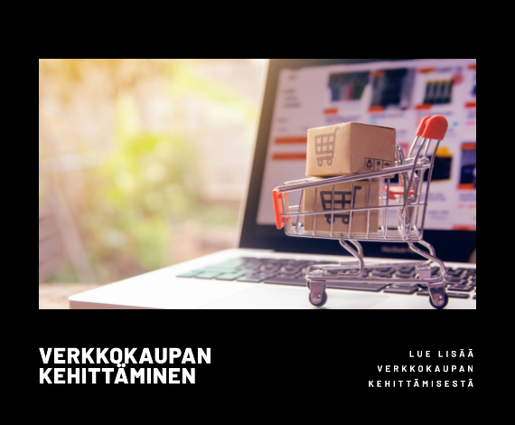 Verkkokaupan kehittäminen - Verkkokauppakuiskaaja